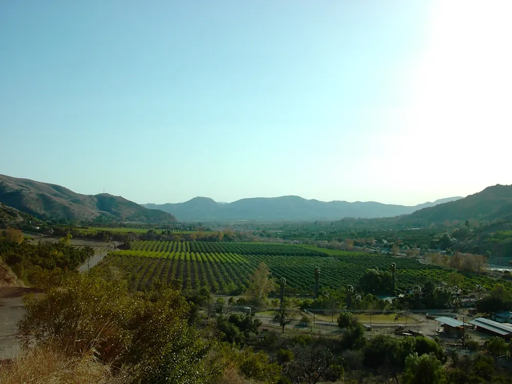 Orchards and fields on a valley floor between dry hills under a pale sky