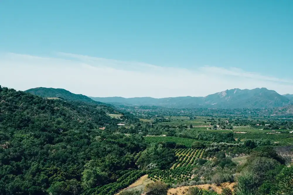 The Ojai Valley looking west from the hills, with orchards and mountains